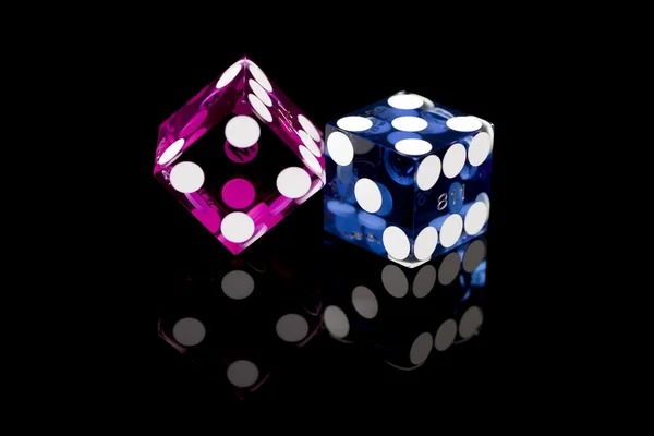 raja888 Live Casino